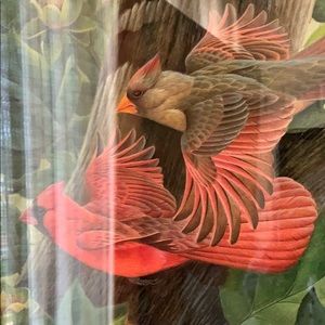 Meet your Posher, Dundee